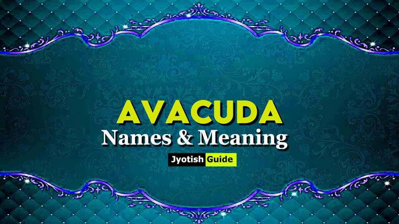 avacuda name meaning