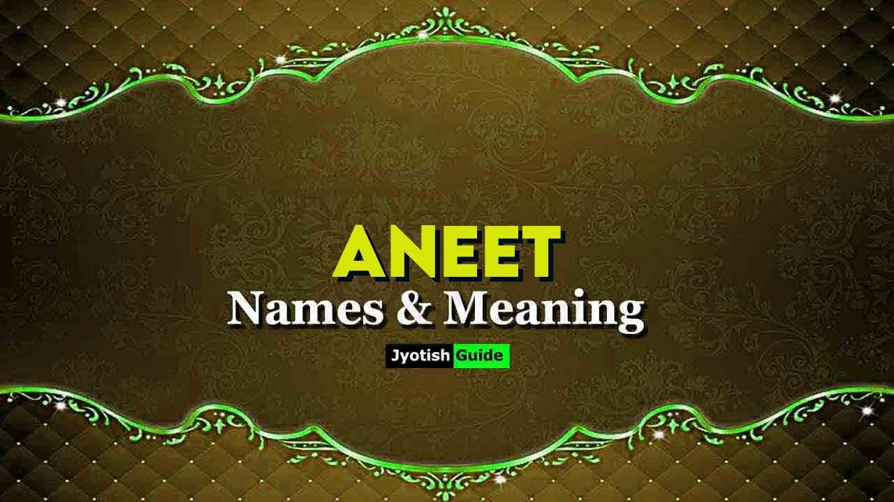 aneet name meaning