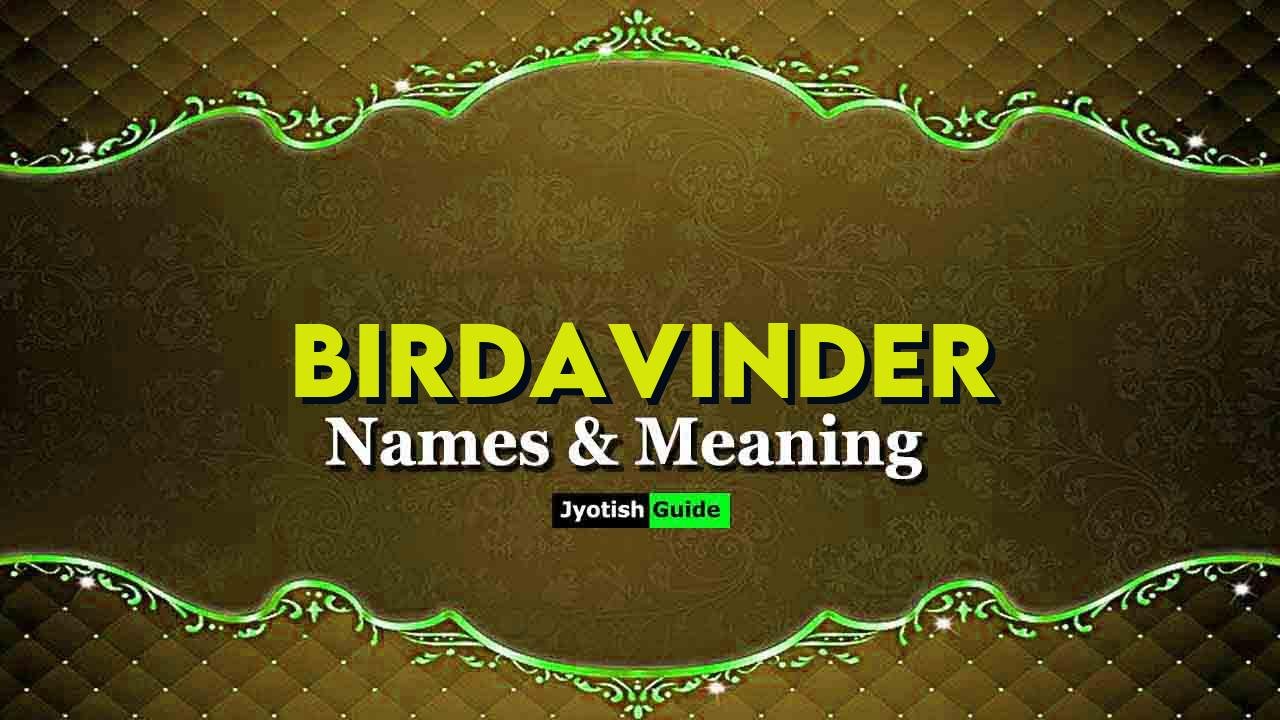 birdavinder name meaning