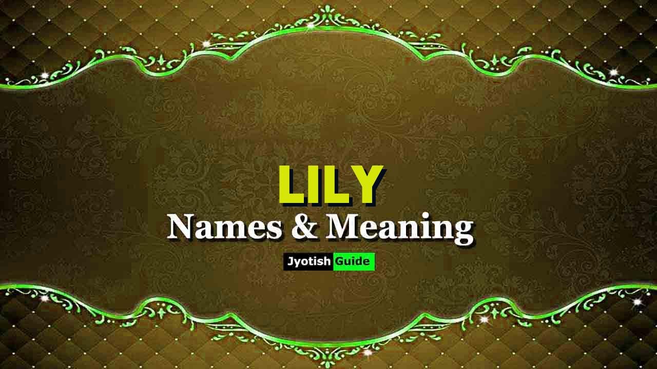 lily name meaning